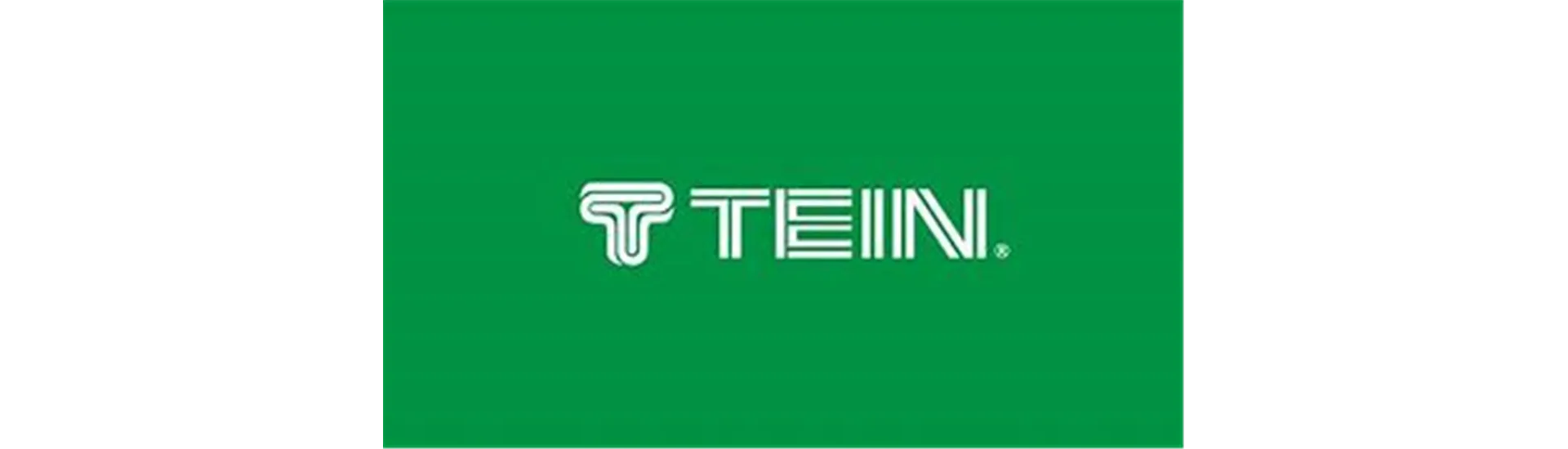 Tein