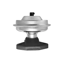 EGR Valves