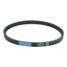 Timing Accessory Belts