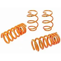 Lowering Springs