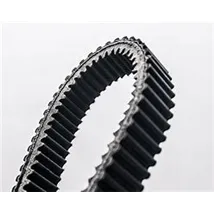 Timing Accessory Belts