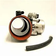 Other Body Components