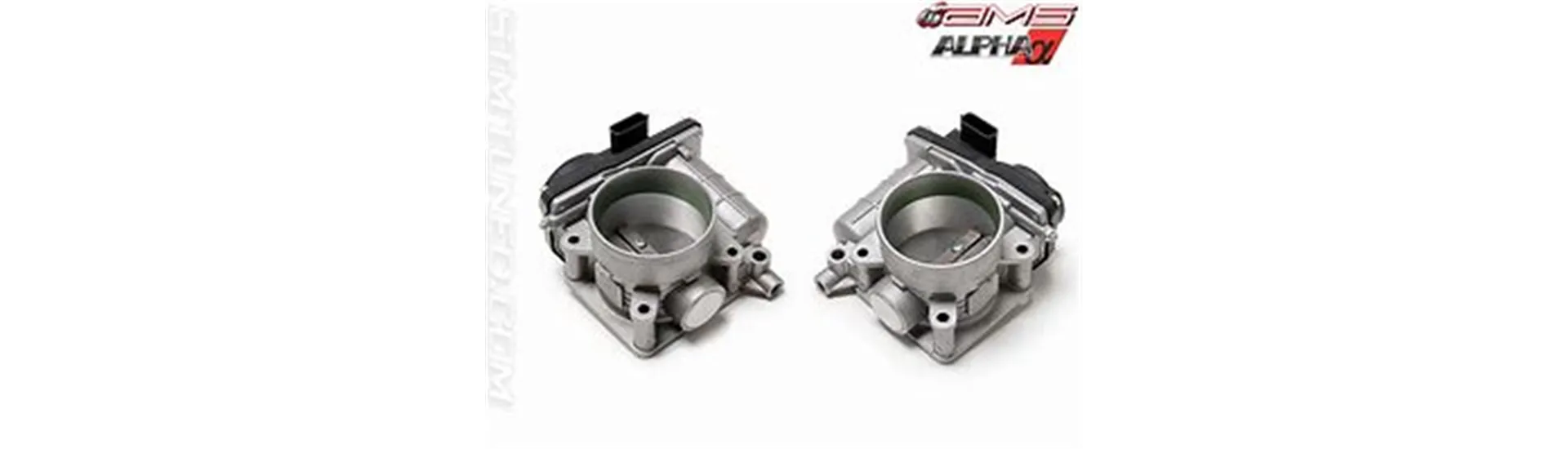Throttle Bodies