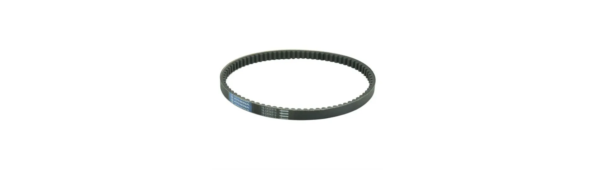 Timing Accessory Belts