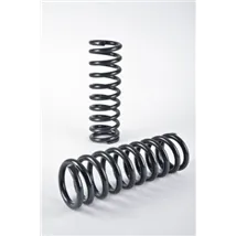 Lowering Springs