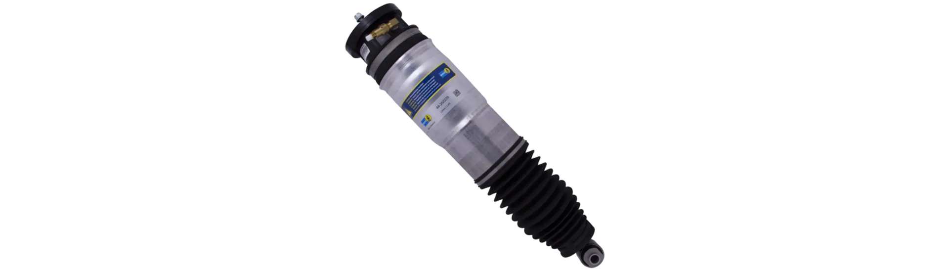 Shocks and Struts