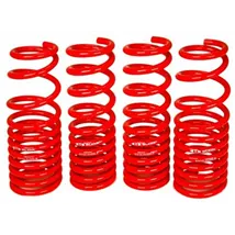 Lowering Springs