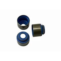 Valve Seals