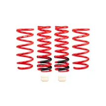 Lowering Springs