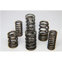 Valve Springs Retainers