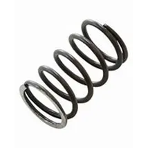 Wastegate Springs