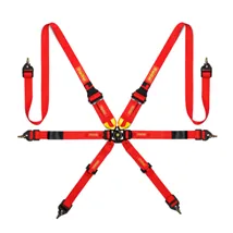 Seat Belts & Harnesses