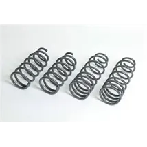 Lowering Springs