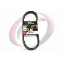Timing Accessory Belts