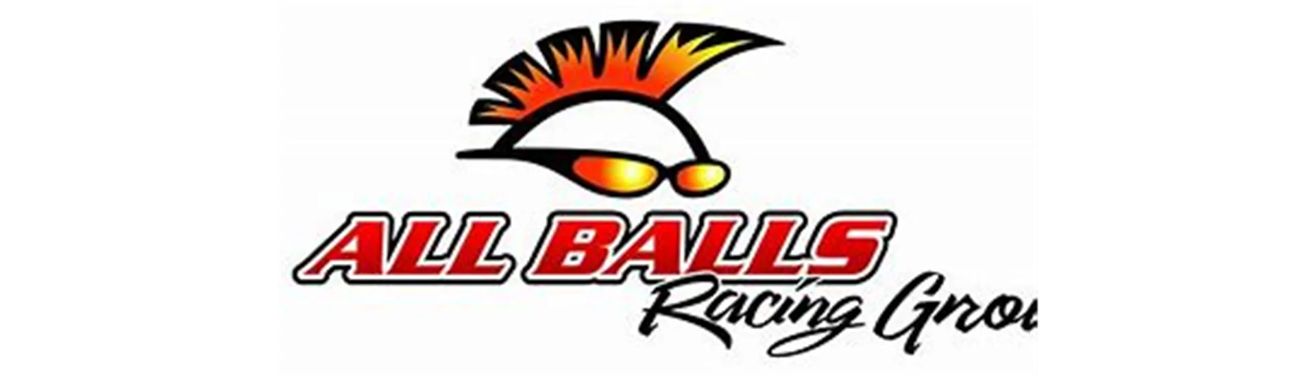 All Balls Racing