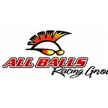 All Balls Racing