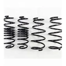 Lowering Springs