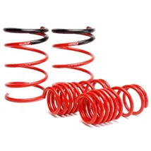 Lowering Springs
