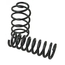 Lowering Springs