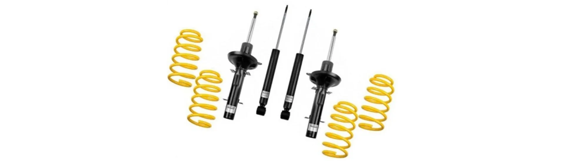 Shock Mounts & Camber Plates