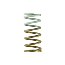 Wastegate Springs