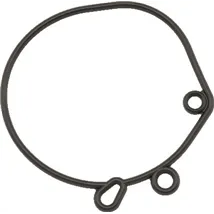 Carburetor Rebuild Kits