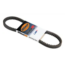 Timing Accessory Belts