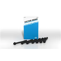 Head Stud & Bolt Kits