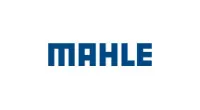 Mahle OE